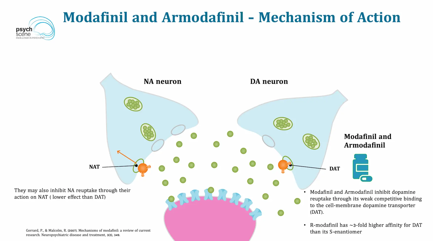 Armodafinil en Modafinil merken
